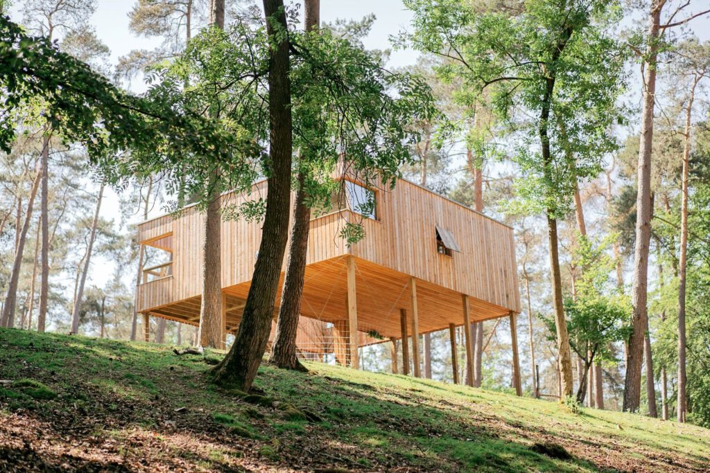 Lodge dans la forêt aux Lodges Forestia à Theux