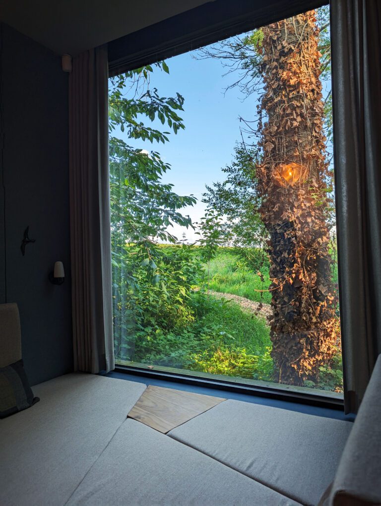 Vue sur la forêt à Loof Cabin près d'Hasselt