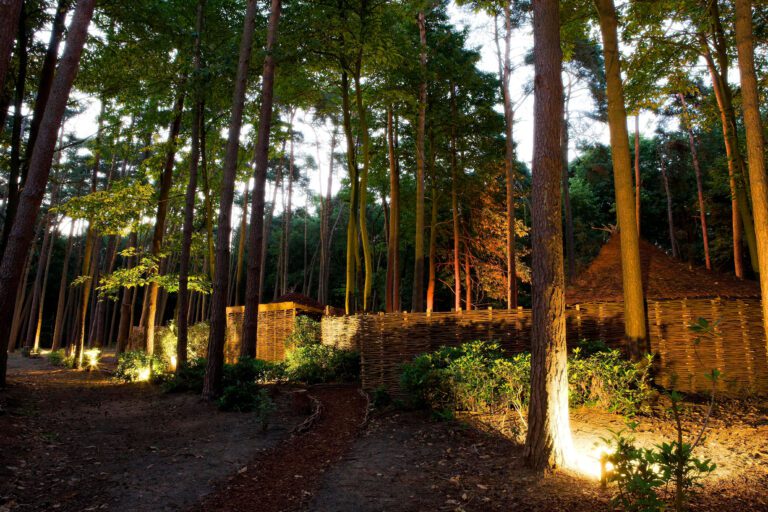 Forêt de nuit à Nooz près d'Anvers