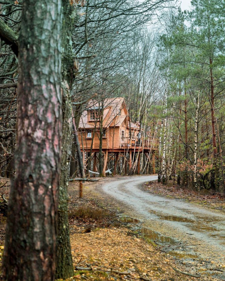 Chalet perché à Warredal dans le Limbourg