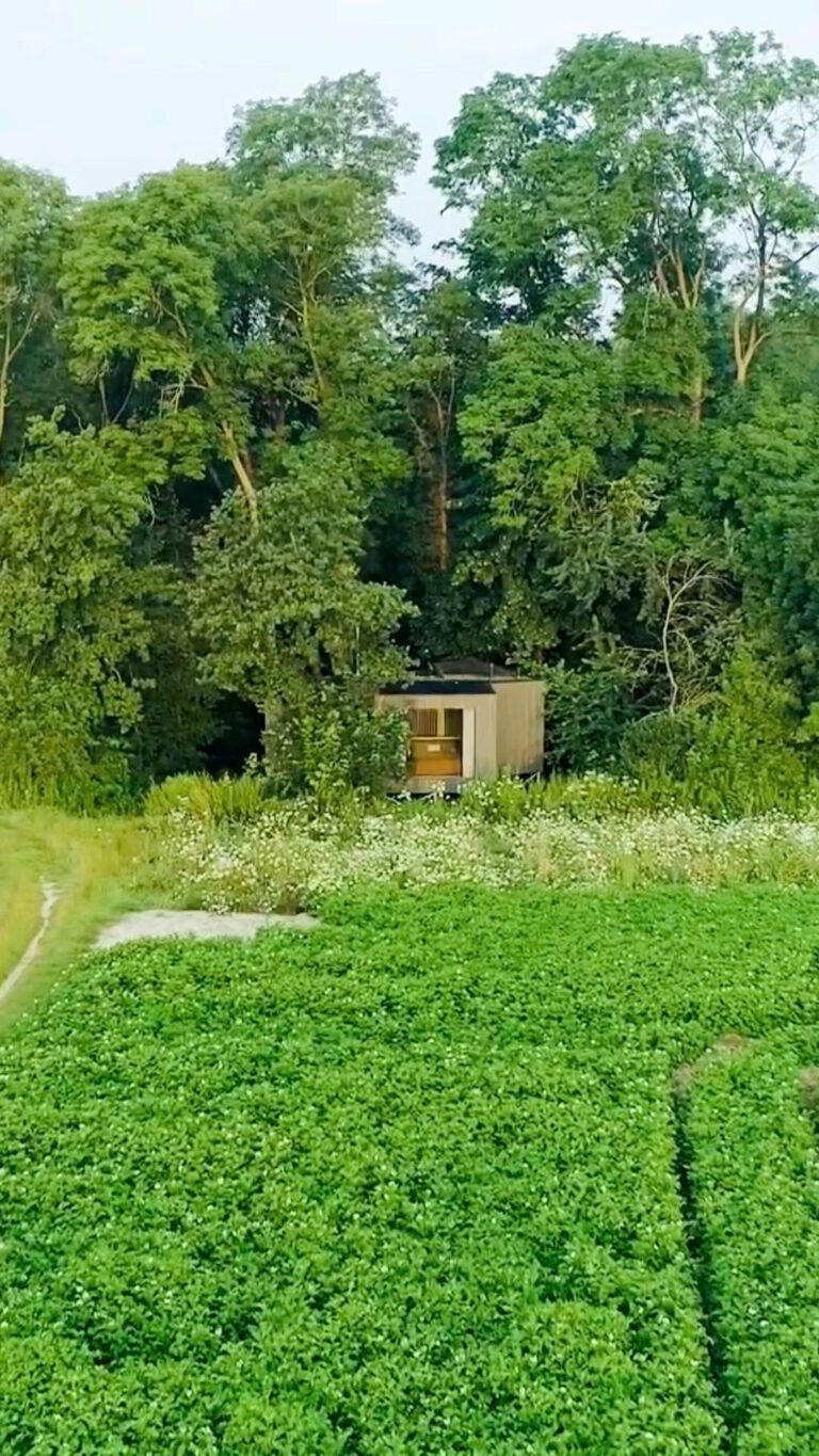 bast cabin cover cabin
