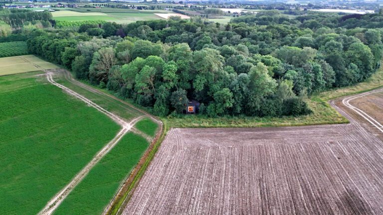 Bats vue du ciel à Bast près de Hasselt