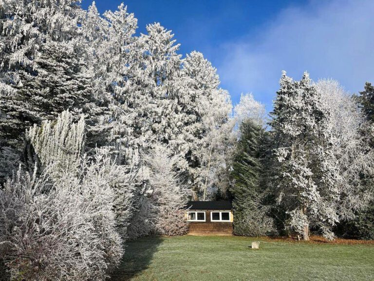 La Cabane Félicie sous la neige près de Saint-Hubert
