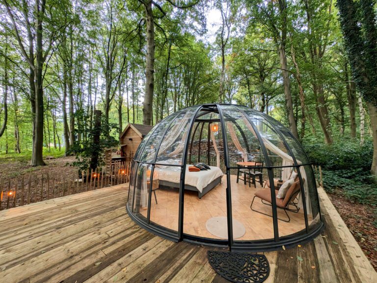 Dôme au cœur de la forêt au Dôme de Namur