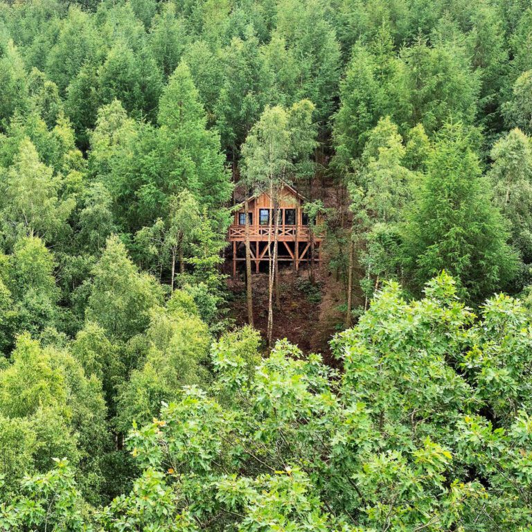 Cabane dans les arbres aux Cabanes des Dolimarts