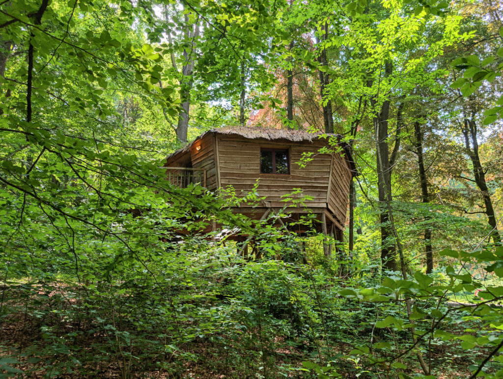 Cabane au milieu des arbres à la Cabane Du Bois Dormant à Spa