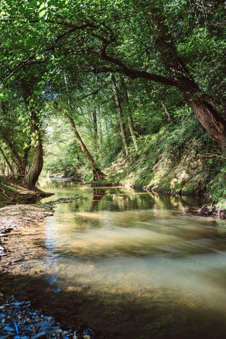 Ruisseau à Ô NaNo près de Liège