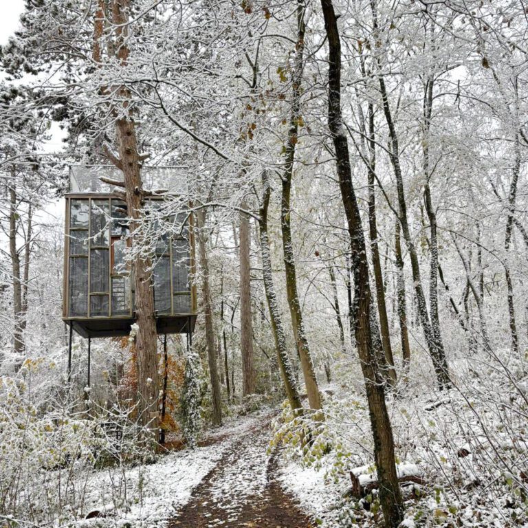 Cube de Verre à Stay Ici dans les Ardennes Belges
