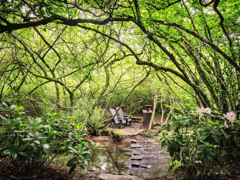 Transats au bord du ruisseau aux Les Nids des Marais