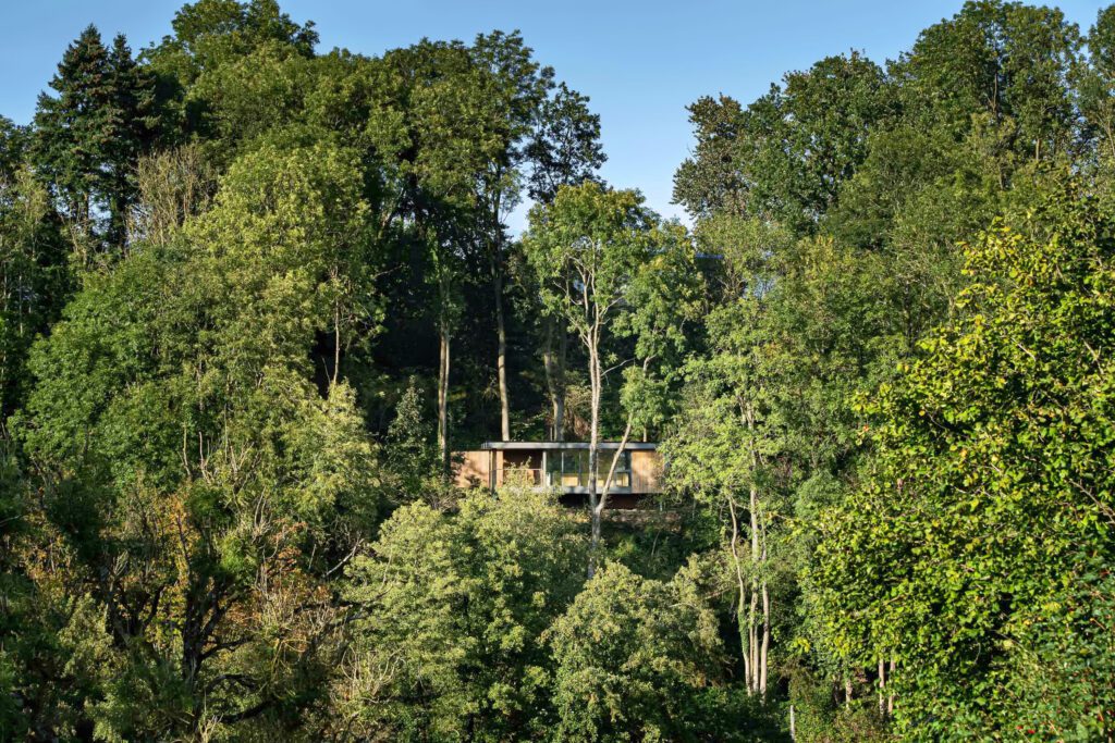 Cabane au milieu des arbres à Ciméo à Nandrin