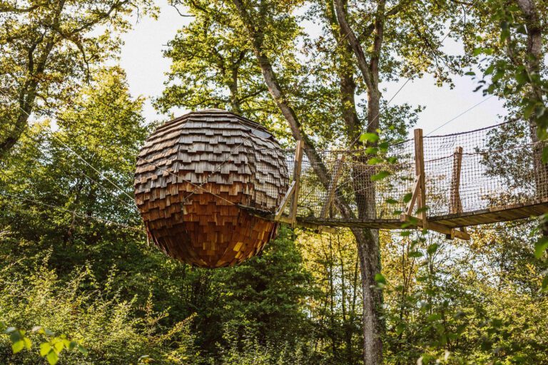 Nid dans les arbres aux Cabanes des Grands Reflets près de Belfort