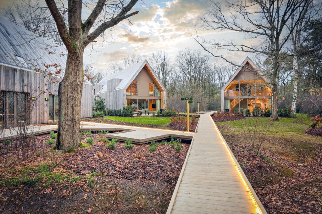 Chemin menant aux lodges à Woodz Lodges près d'Hasselt