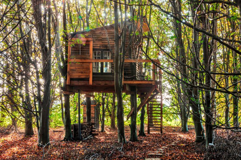 Cabane au milieu des boisà la Cabane Ernesst à Lubbeek