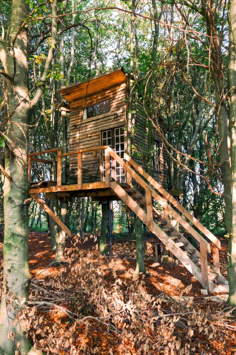 Cabane perchée dans les arbres à la Cabane Ernesst à Lubbeek