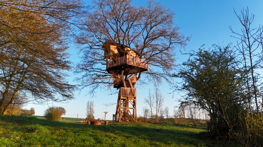 Cabane perchée dans les arbres à la Cabane du Chêne près de Namur